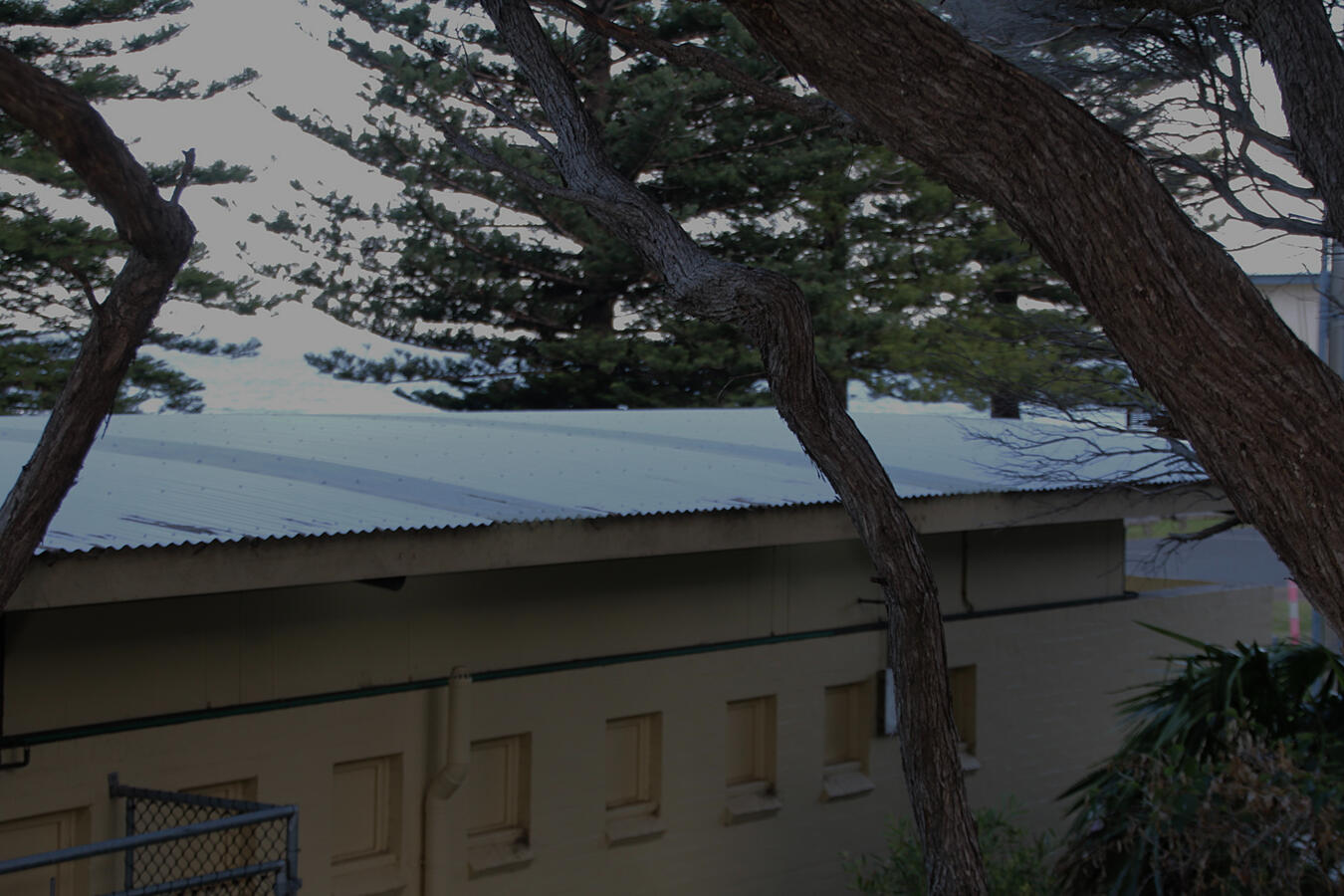 Coledale Beach Campground